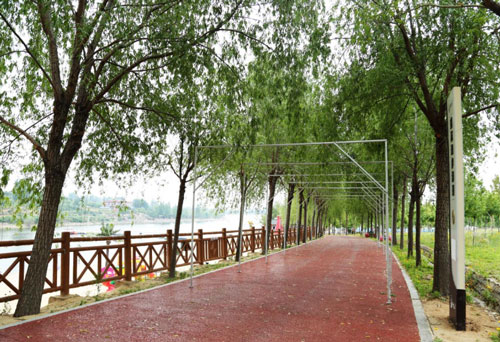 新泰莲花湖花海景区